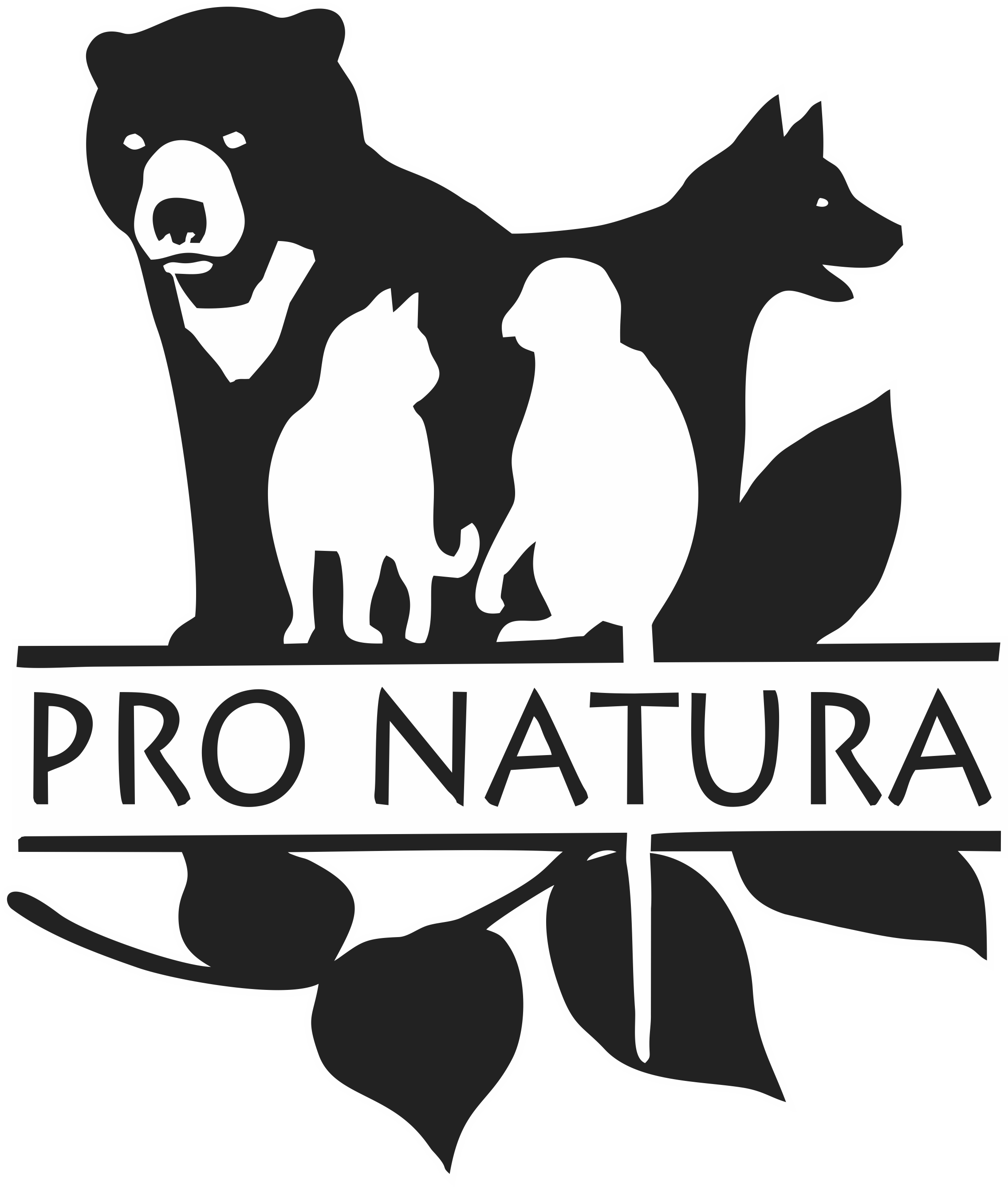 footer-logo